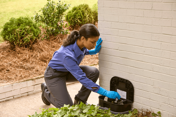 Images PURCOR Pest Solutions