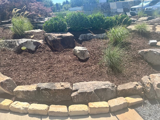 Images Juan Mata Lawn Care Services