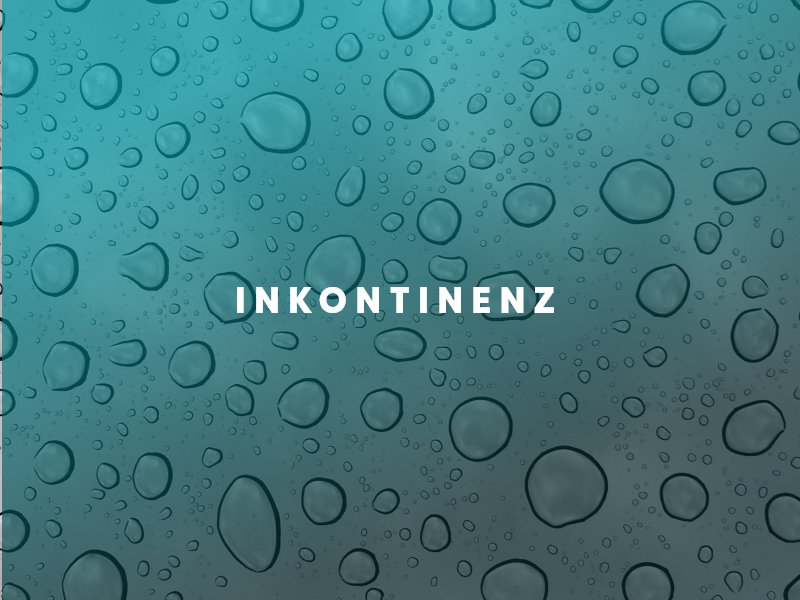 PANACEA Medic GmbH, Obermarkt 47 in Waldheim