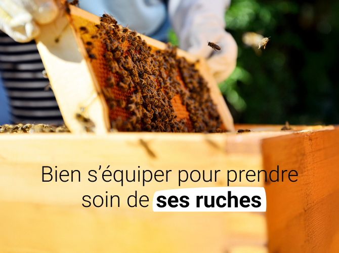 Les essentiels pour votre rucher