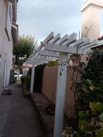 Images Southern California Exterminators