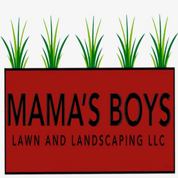 Images Mama's Boys Lawn and Landscaping