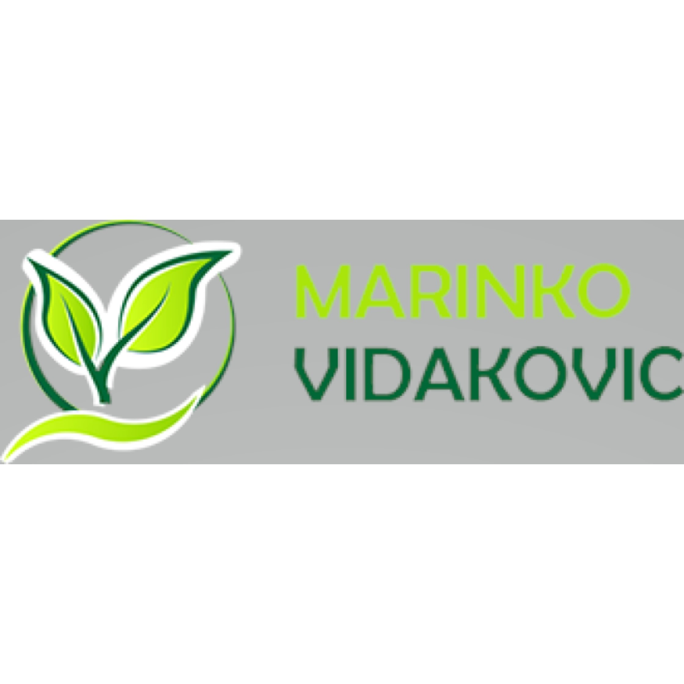 Vidakovic Marinko Logo