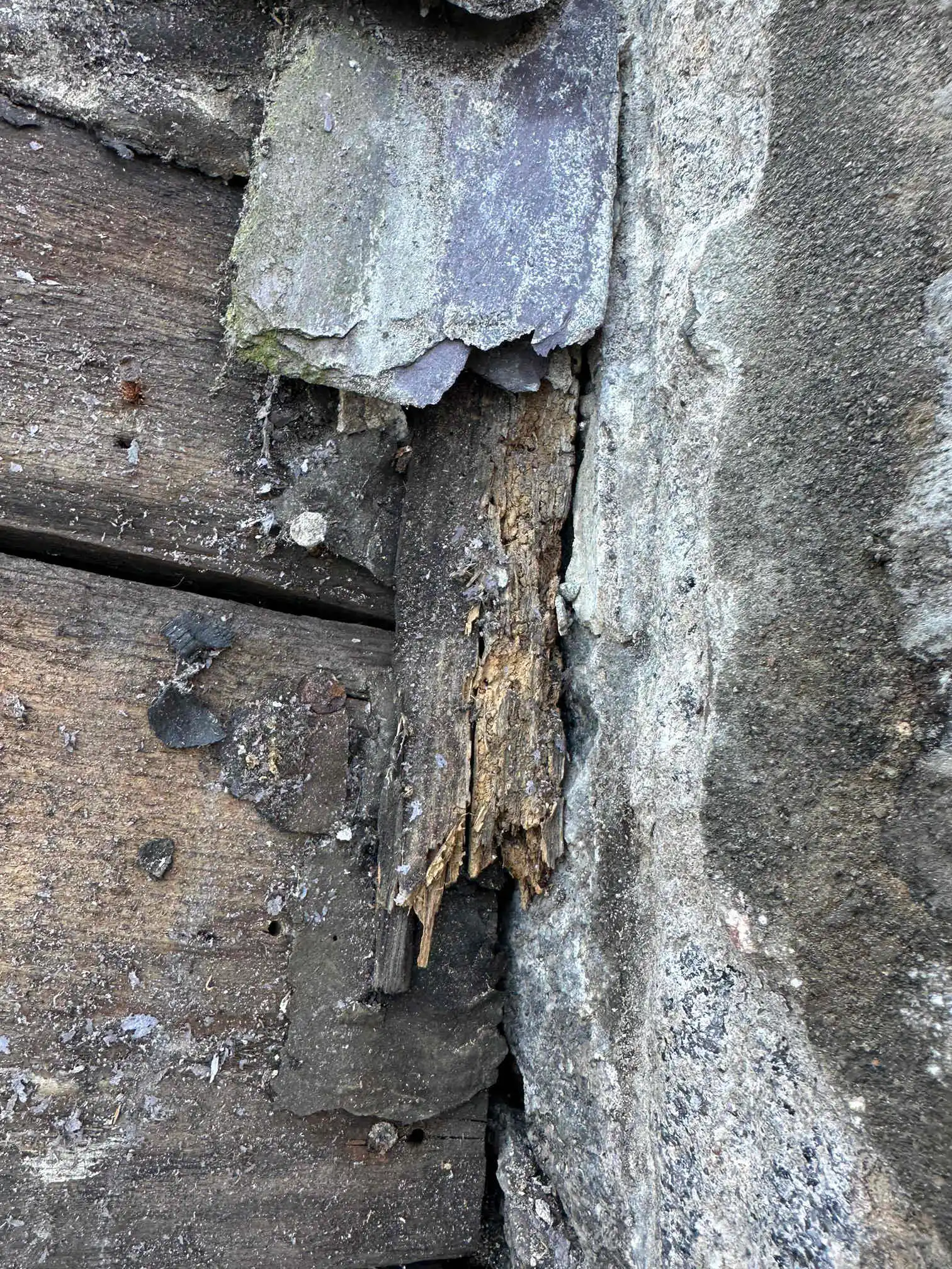 Images DB Roofing and Maintenance