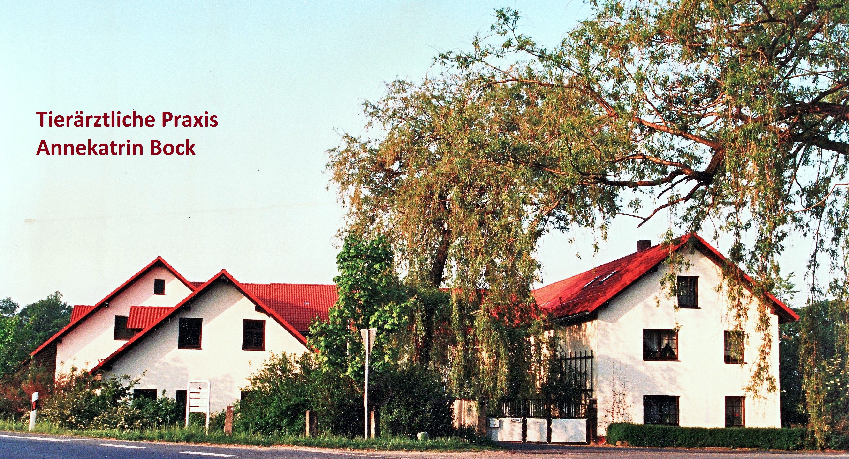 Tierärztliche Praxis Annekatrin Bock, Am Löwen 3 in Ebersbach