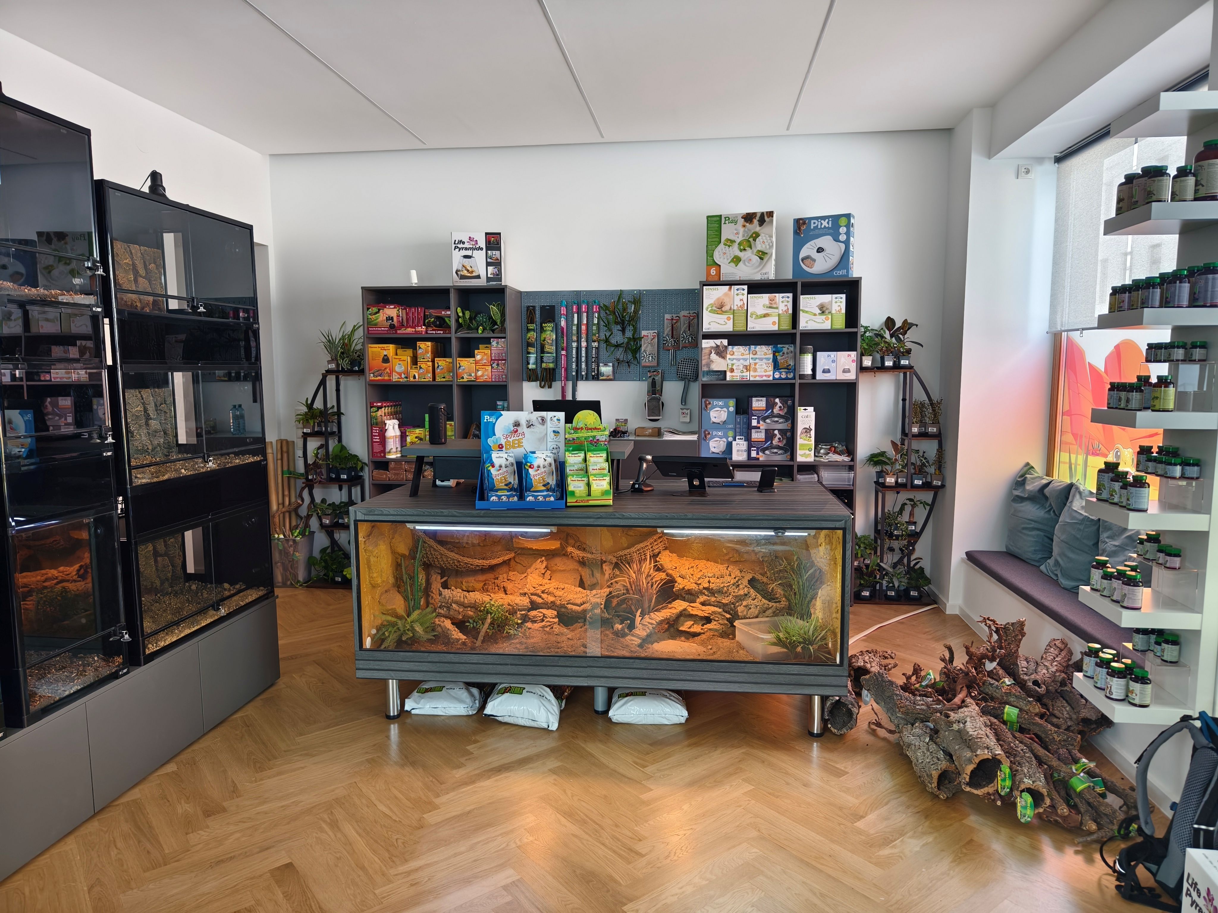 Bild 1 von Dragon Time