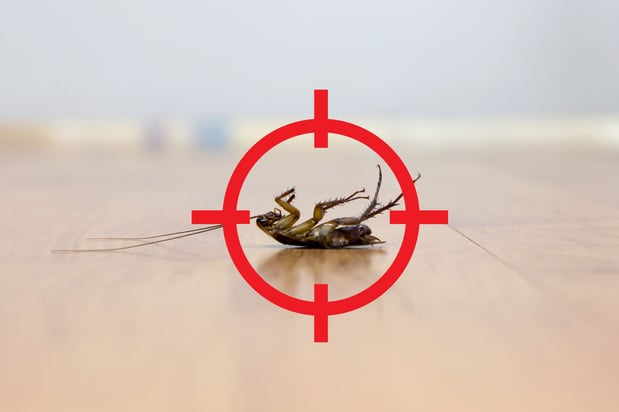 Images Brown Pest Control Inc