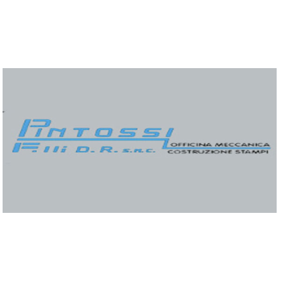Pintossi F.lli Logo