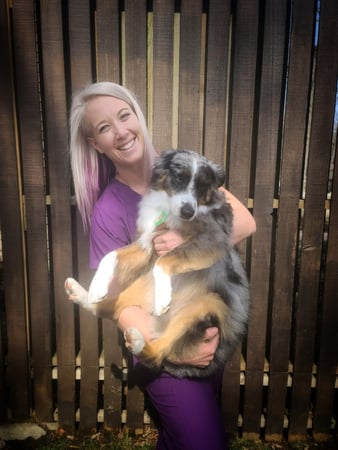 Images VCA Green Animal Hospital