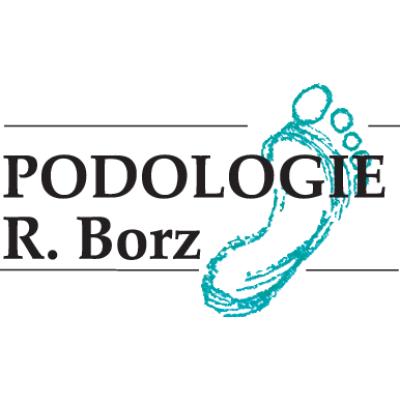 Roman Borz in Schwandorf - Logo