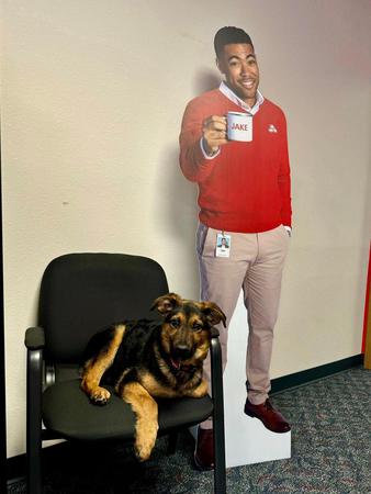 Images Matthew Raymond - State Farm Insurance Agent