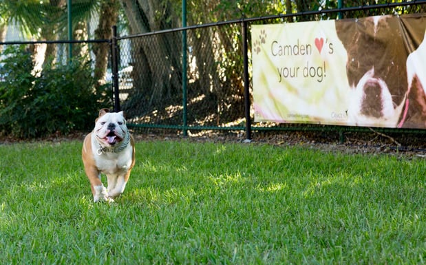 Images Camden Doral Apartments