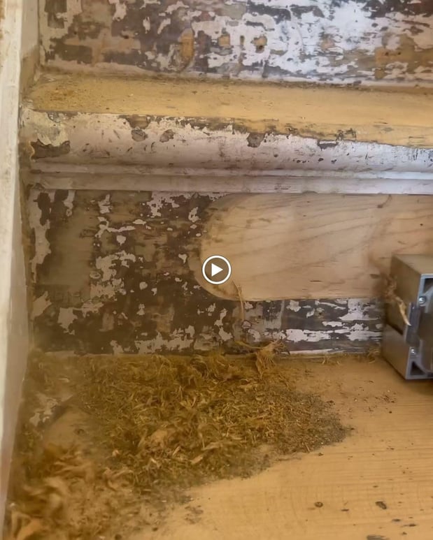 Images OC Flooring