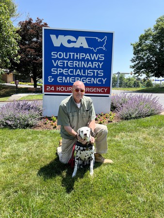 Images VCA SouthPaws Veterinary Specialists & Emergency Center