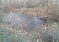 Mogote Meadow Cabins & RV Park Image