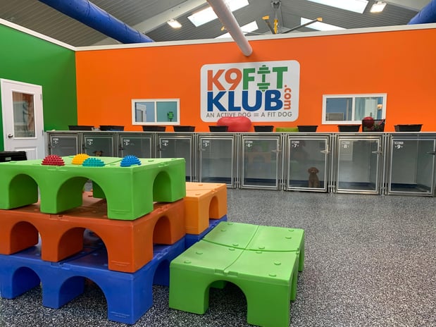 Images Karnik On Black - Dog Daycare, Boarding & Grooming