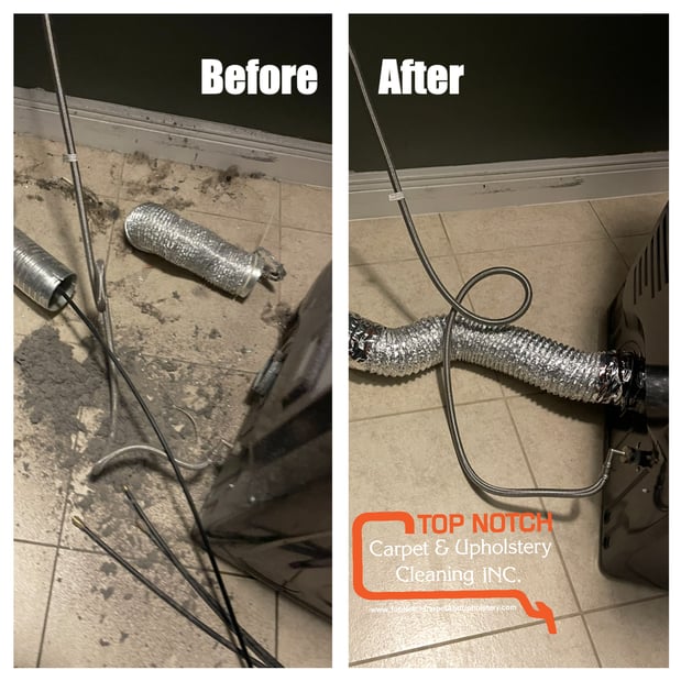Images Top Notch Carpet And Upholstery Cleaning Inc.