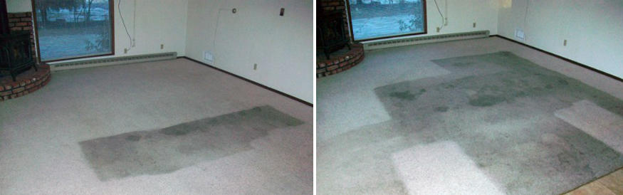 Northwest Steamway Carpet Cleaning Photo