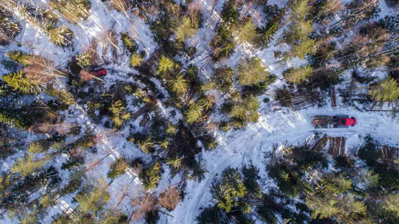 Images Metsäkoneurakointi Teemu Tiitinen Oy
