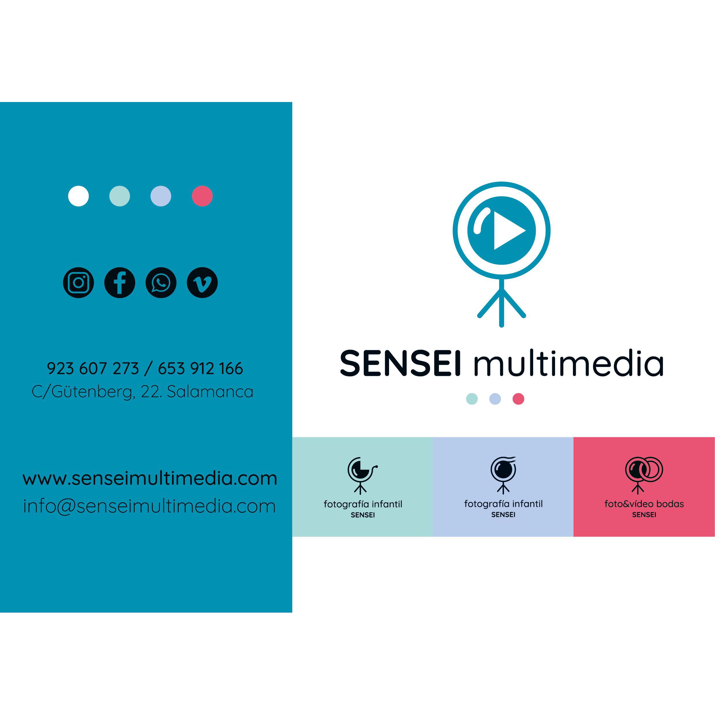 Sensei Multimedia Logo
