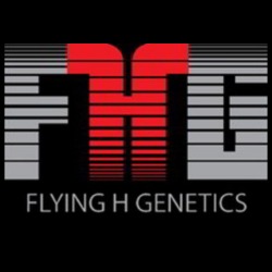 Flying H Genetics Logo