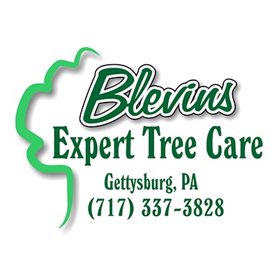 Tree Service Myersville Md Opendi Blevins Expert Tree Care Llc