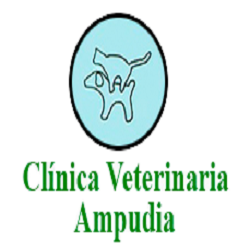 Clínica Veterinaria Ampudia Santander