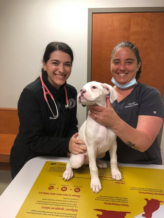 Images West Side Veterinary Hospital