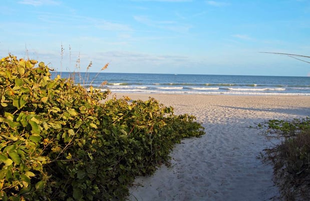 Images Hampton Inn Cocoa Beach/Cape Canaveral