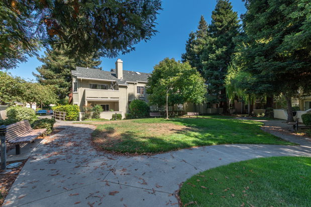 Images Monica Betancur, REALTOR | Compass