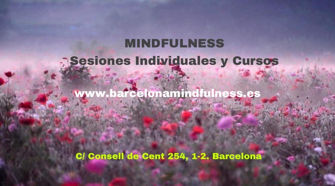 Images Filosofiaestoica.online