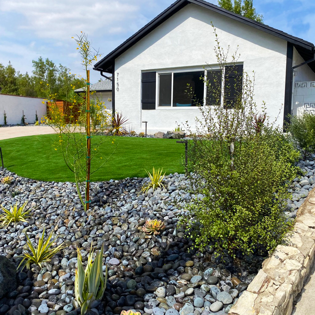 Sunny modern white house with black trim behind a xeriscaped yard of smooth stones, young trees, succulents, shrubs, and green lawn.