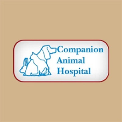 Companion Animal Hospital - Cromwell, CT 06416 - (860)632-7955 | ShowMeLocal.com