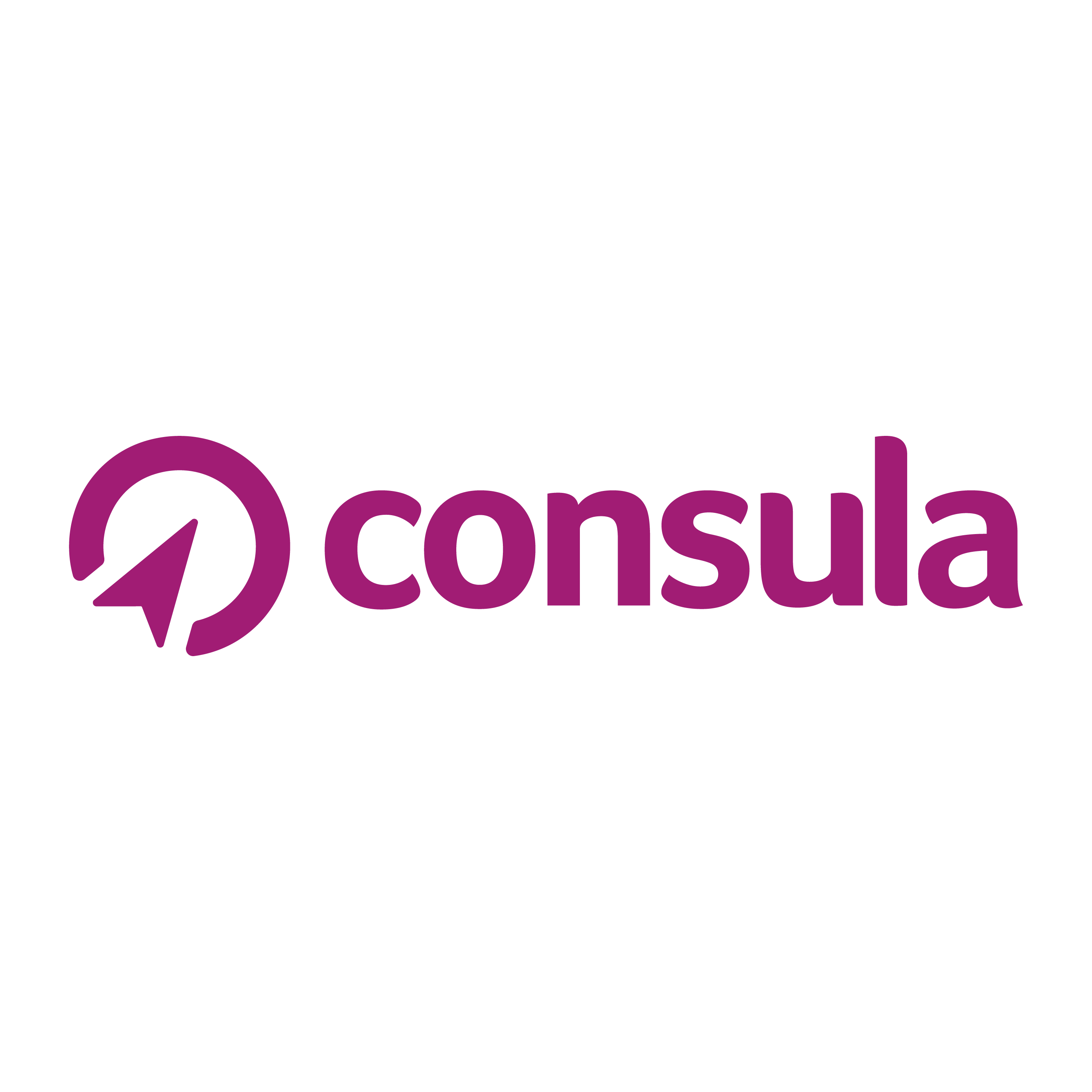 Consula Treuhand GmbH in Aarau