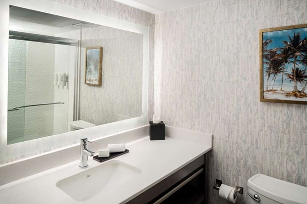 Images Embassy Suites by Hilton Orlando North
