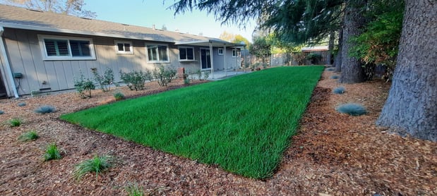 Images Paz Landscape