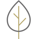 Leaf icon.