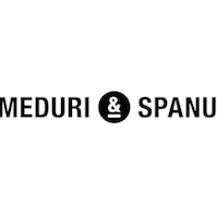 Meduri & Spanu Change Management & Leadership-Coaching in Stuttgart - Logo