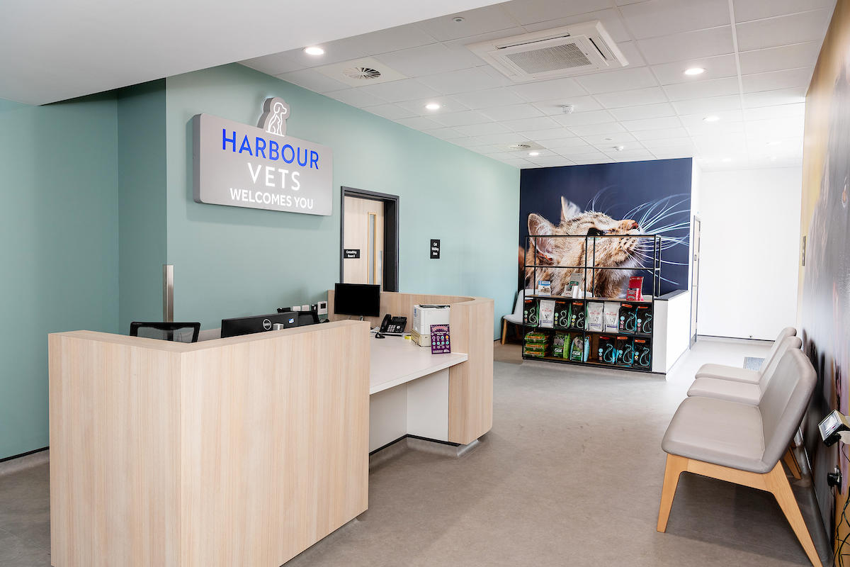 Reception and waiting area Harbour Veterinary Group - Southsea Portsmouth 02392 827014