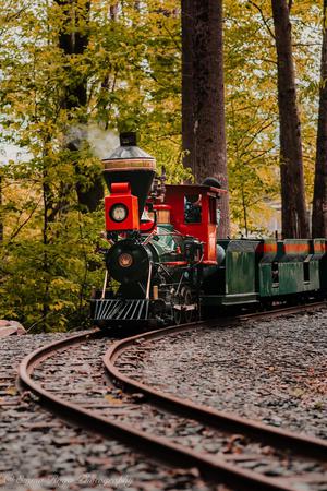 Images Bear Rock Junction