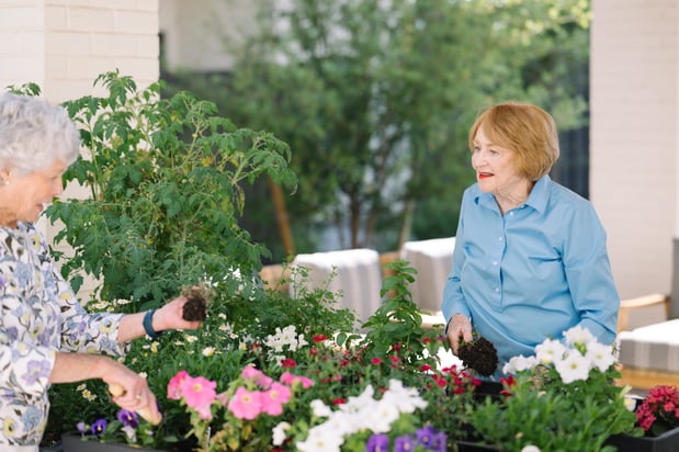 Images Cogir of Old Town Alexandria