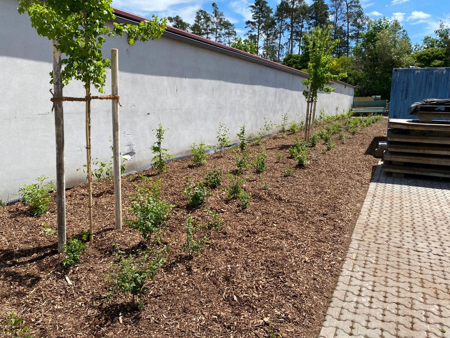 Bilder Gartenbau Fuchs Inh. Patrick Fuchs