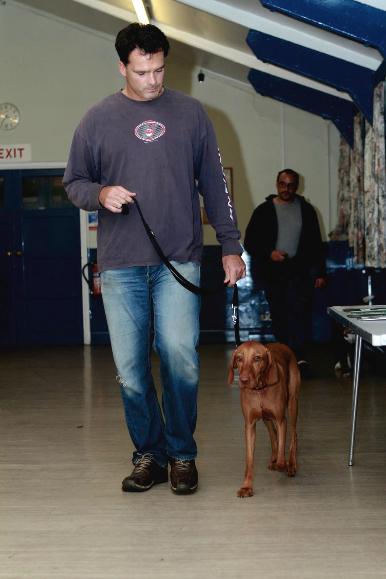 Images Brookwood & Normandy Dog Training