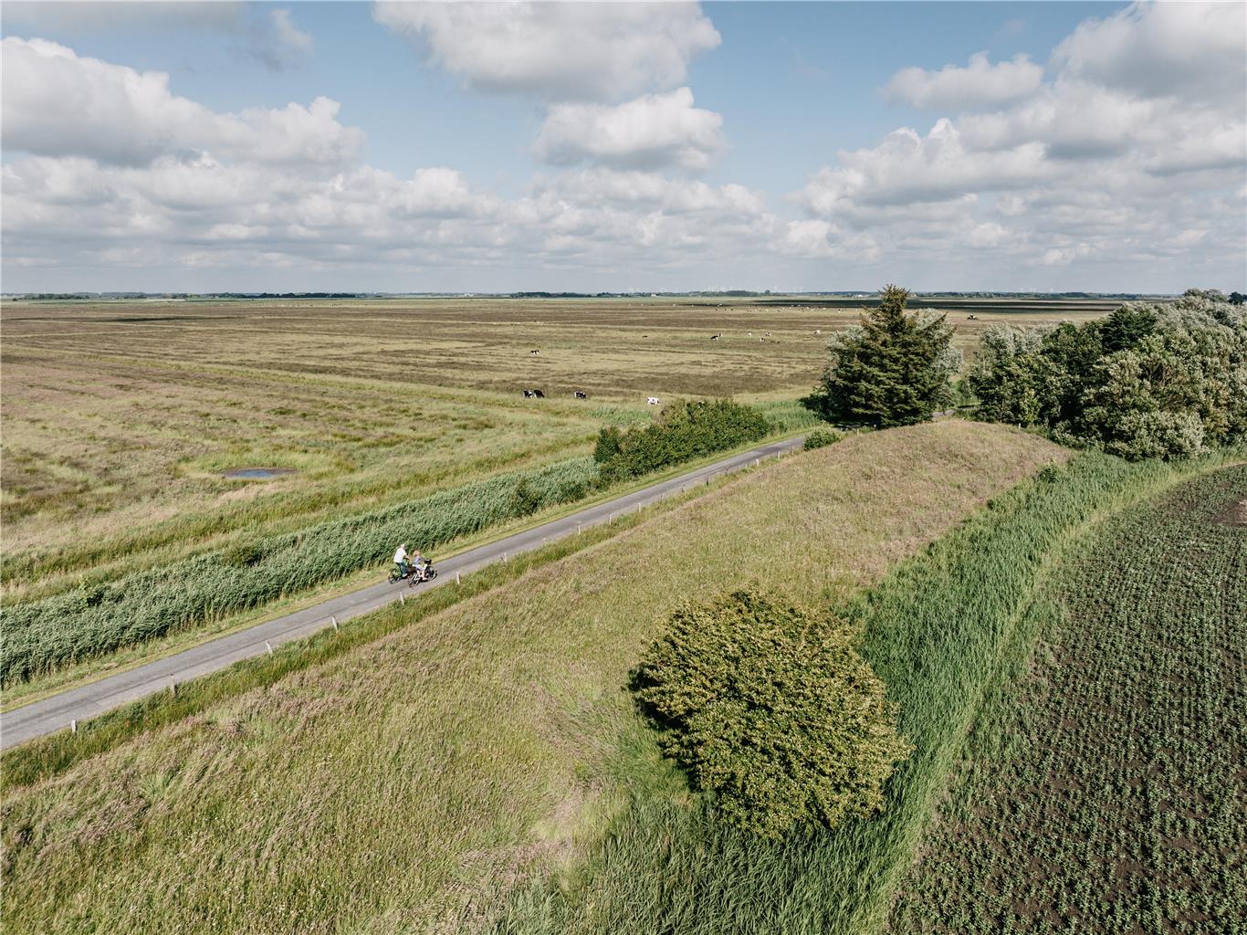 Best Western Plus Theodor Storm Hotel, Neustadt 60-68 in Husum