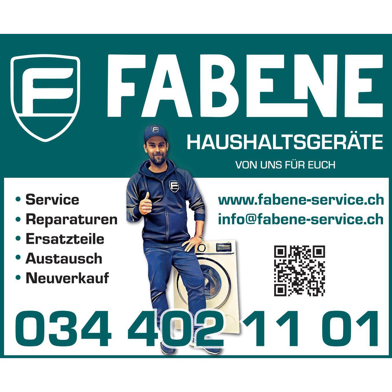 FABENE GmbH Logo