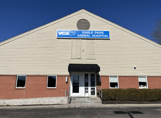 Images VCA Eagle Park Animal Hospital