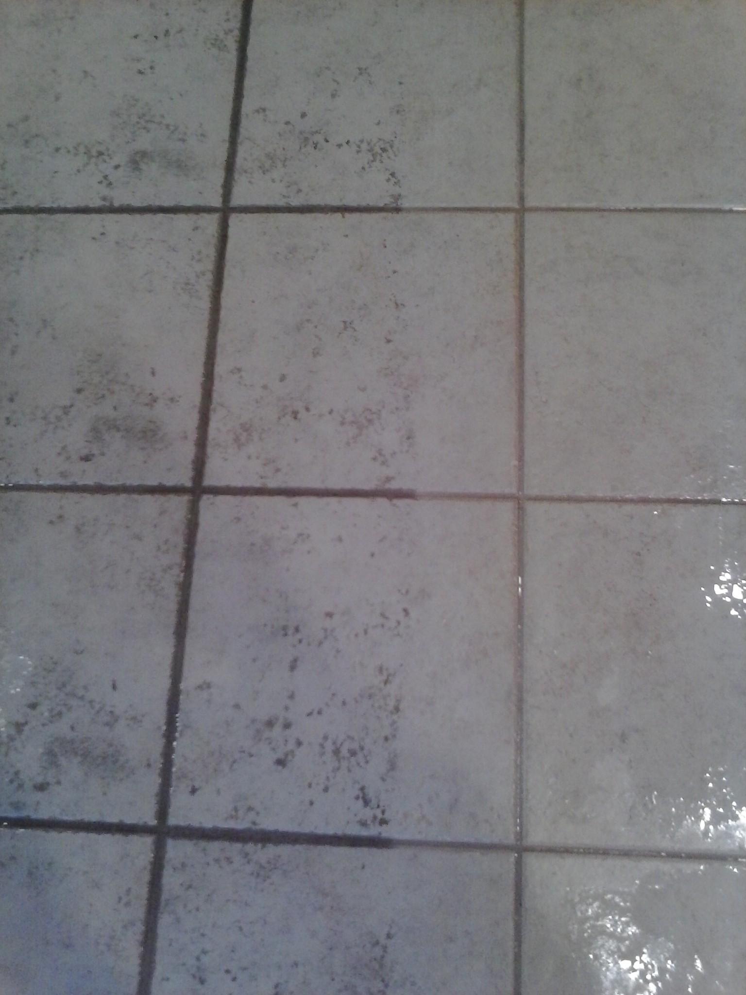 Absolute Cleaning and More
