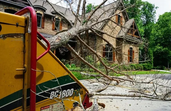 Images Smiths Tree Service