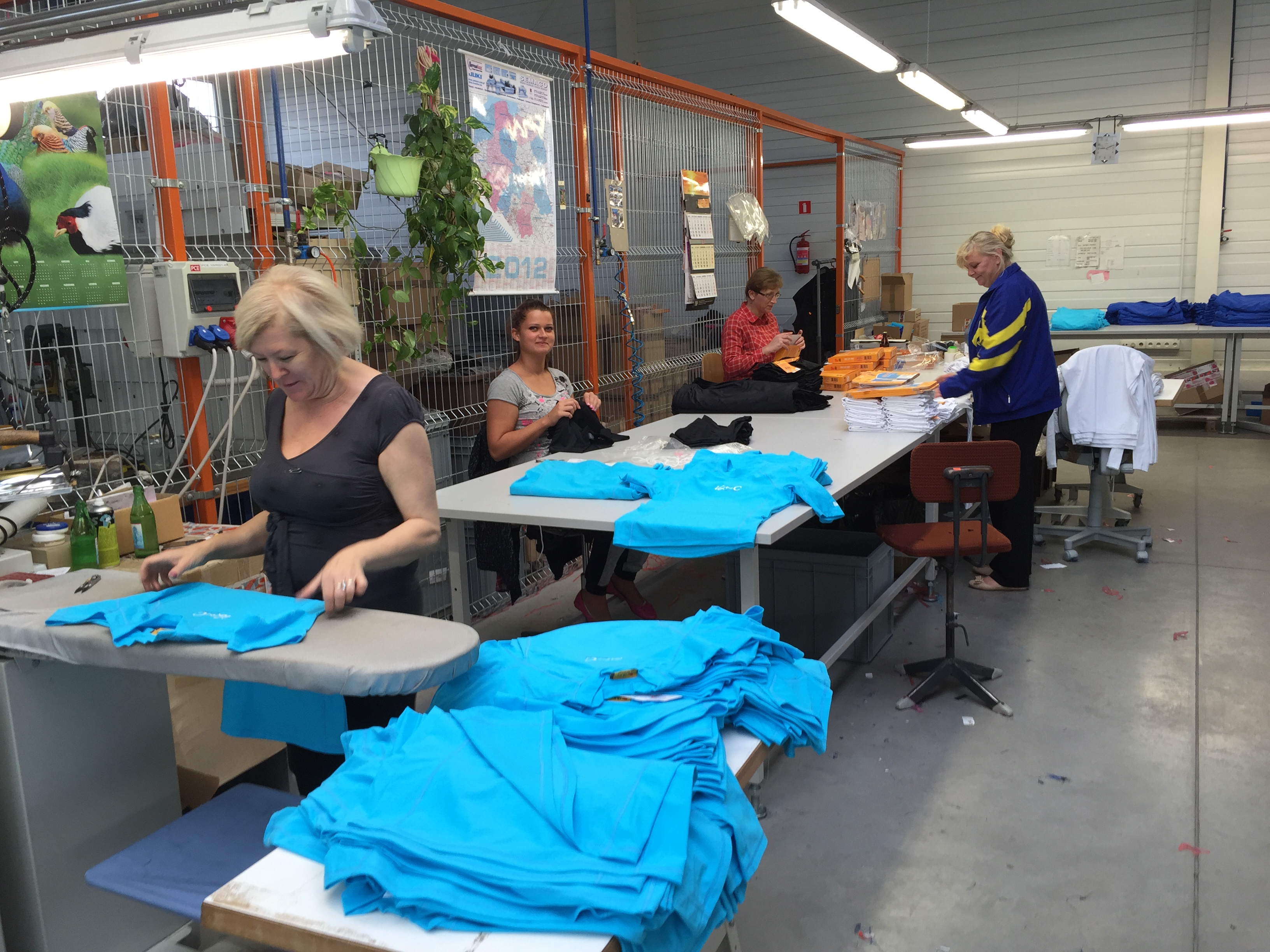 iQ Company AG, Am Klingenweg 12 in Walluf