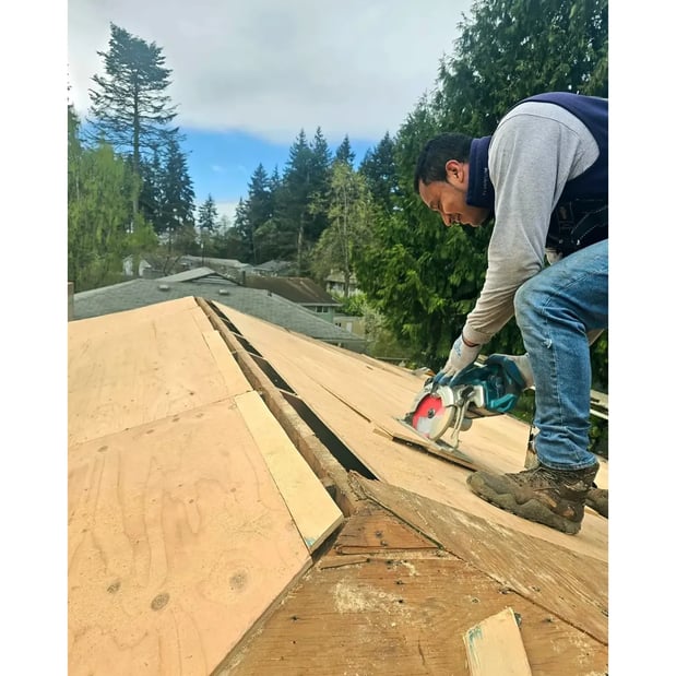 Images Roof Pros NW